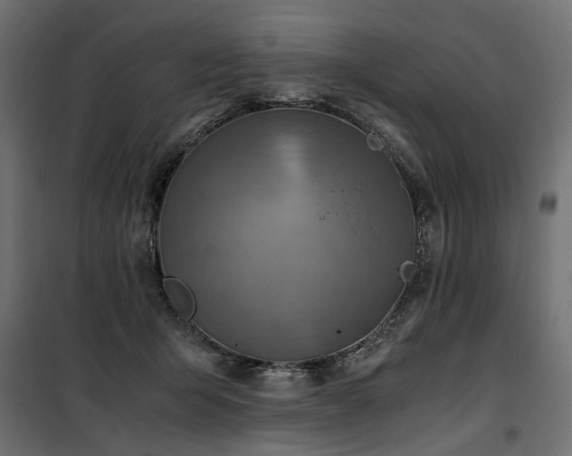 X0000100760415200806191212