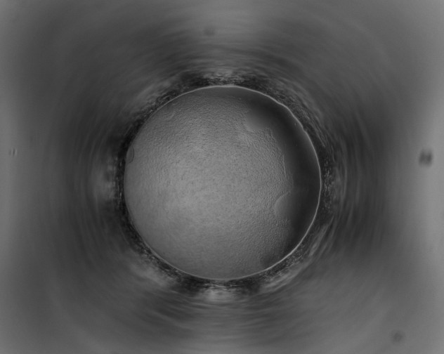 X0000100760416200806191212