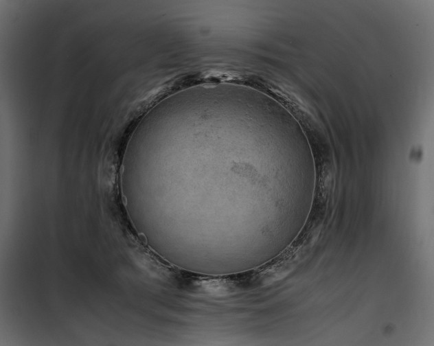 X0000100760417200806191212