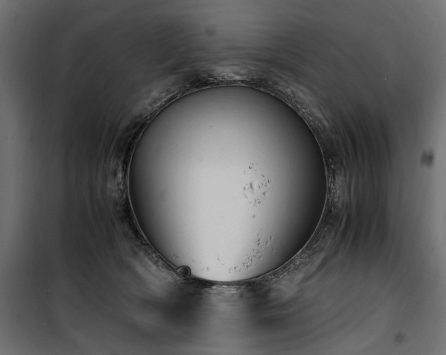 X0000100760418200806191212