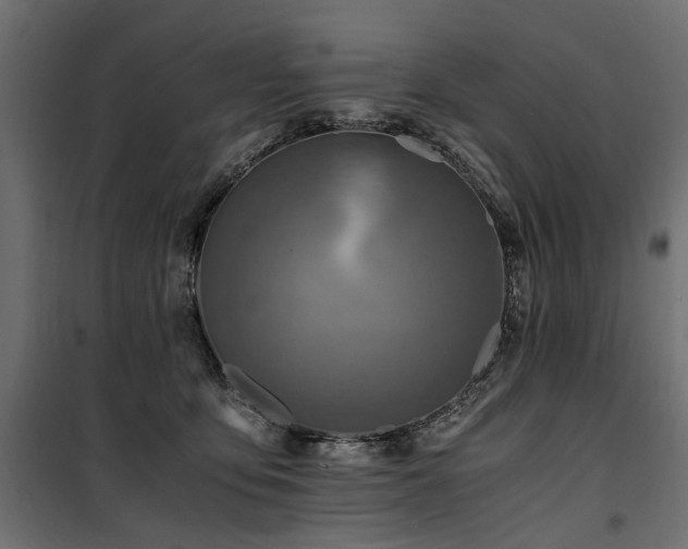 X0000100760419200806191212