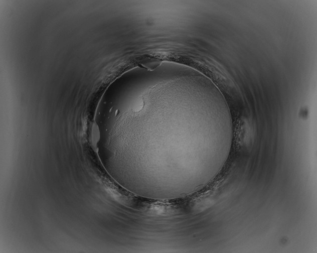 X0000100760420200806191212