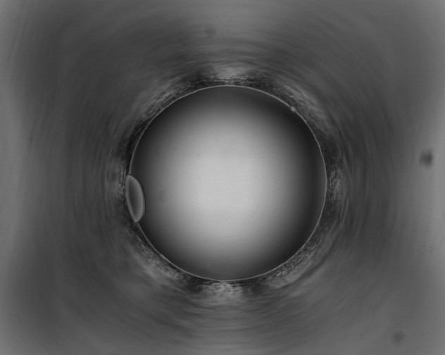 X0000100760421200806191212