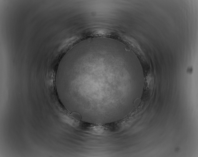 X0000100760423200806191212