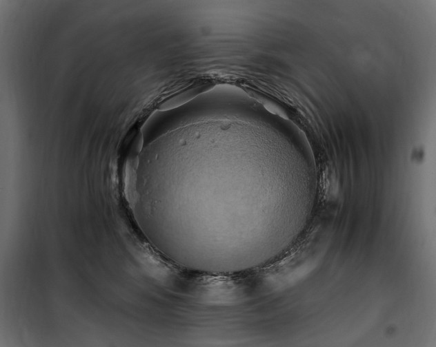 X0000100760424200806191212