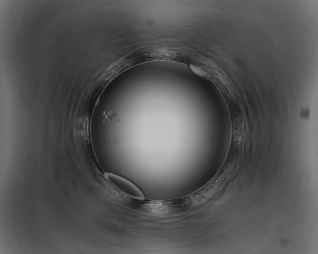 X0000100760425200806191212