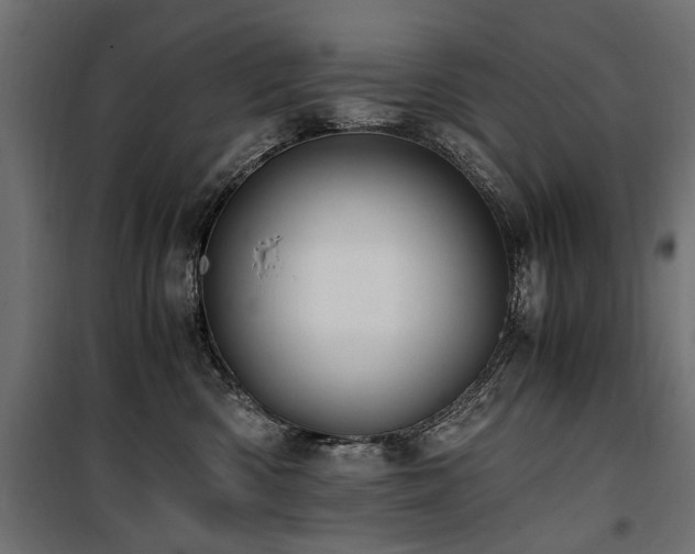 X0000100760426200806191212