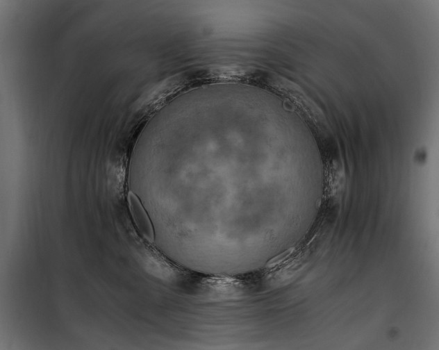 X0000100760427200806191212