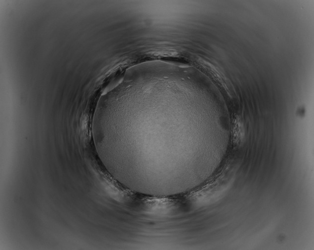 X0000100760428200806191212