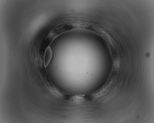 X0000100760429200806191212