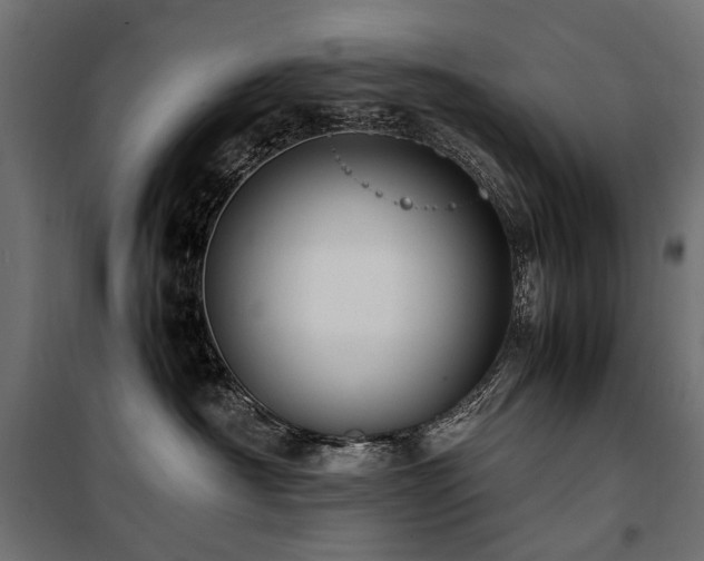 X0000100760430200806191212