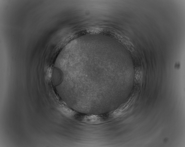 X0000100760431200806191212