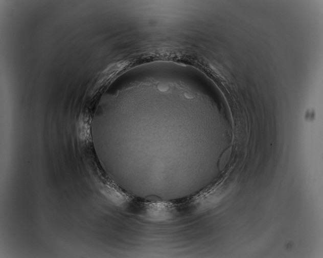 X0000100760432200806191212