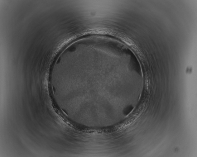 X0000100760434200806191211