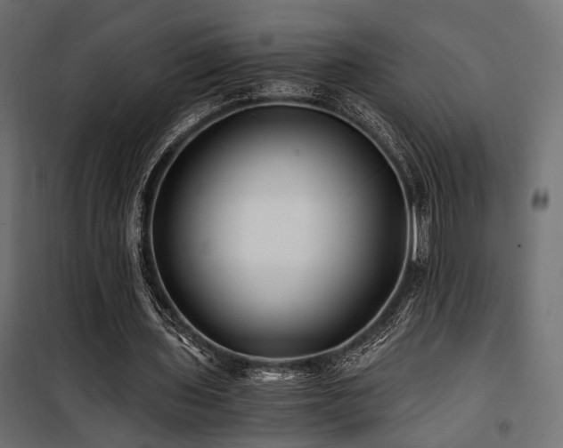 X0000100760435200806191211