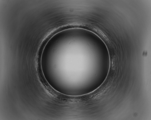 X0000100760436200806191211