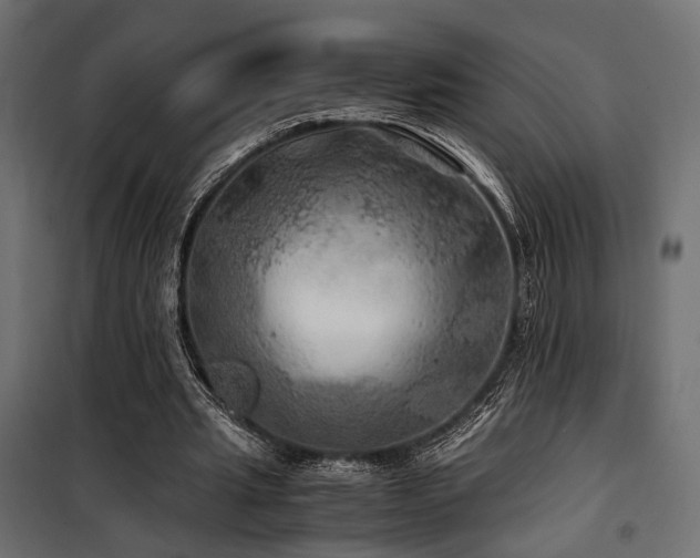 X0000100760437200806191211