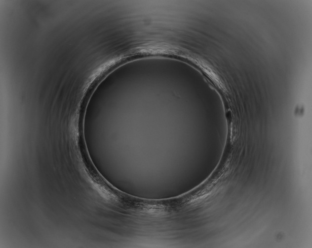 X0000100760438200806191211