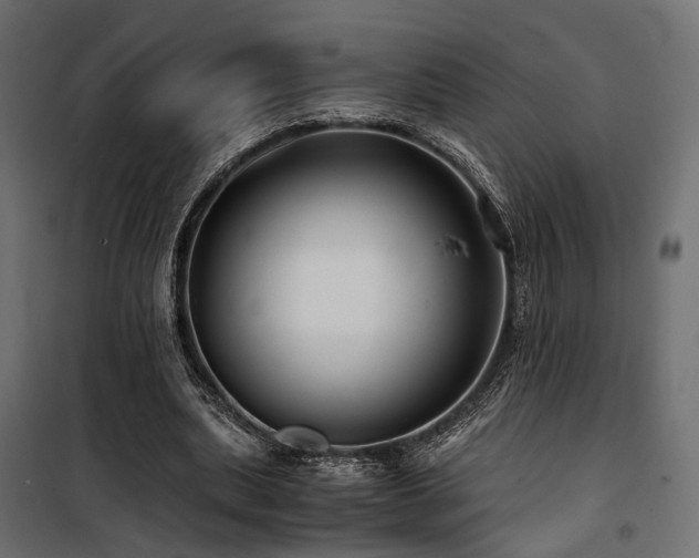 X0000100760439200806191211