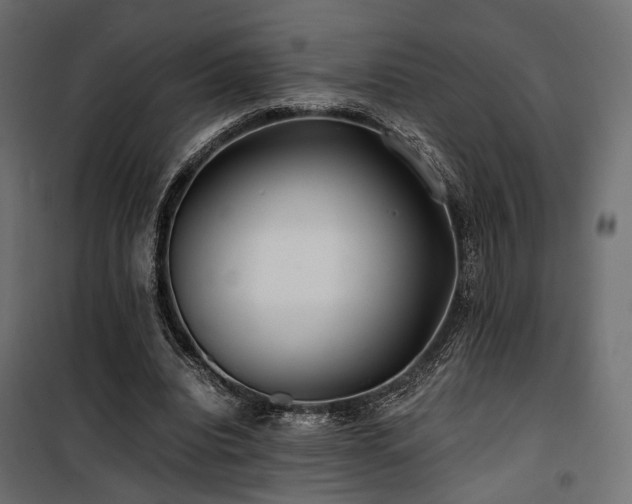 X0000100760440200806191211