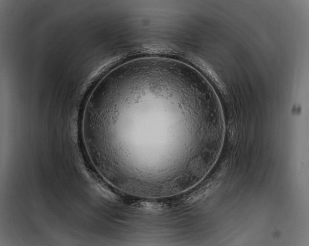 X0000100760442200806191211