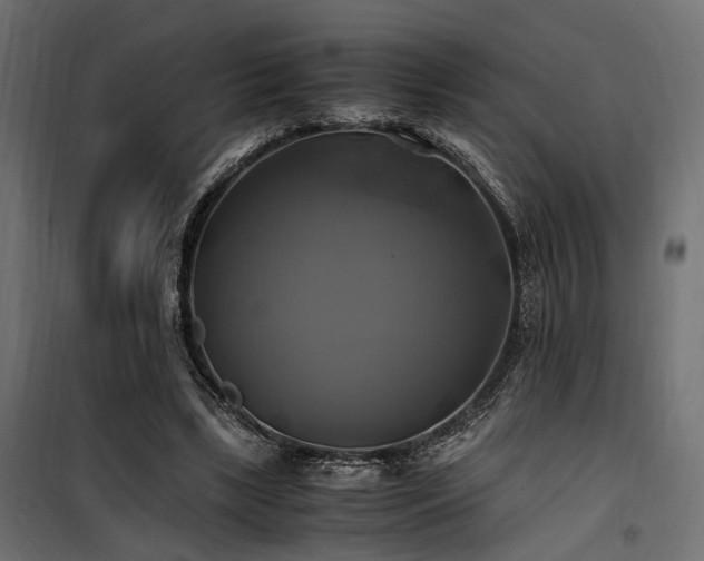 X0000100760443200806191211