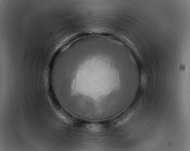 X0000100760444200806191211