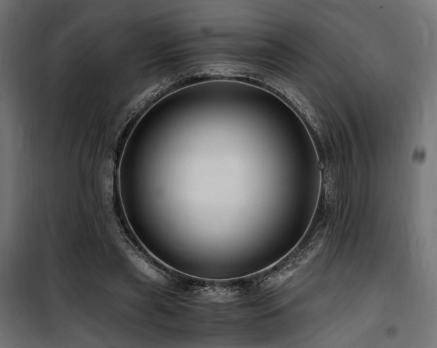 X0000100760445200806191211