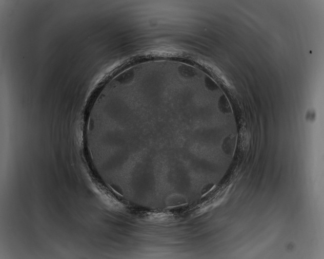 X0000100760446200806191211