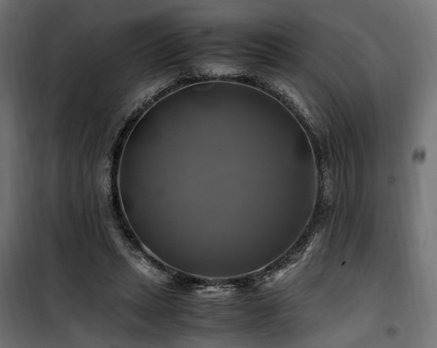 X0000100760447200806191211