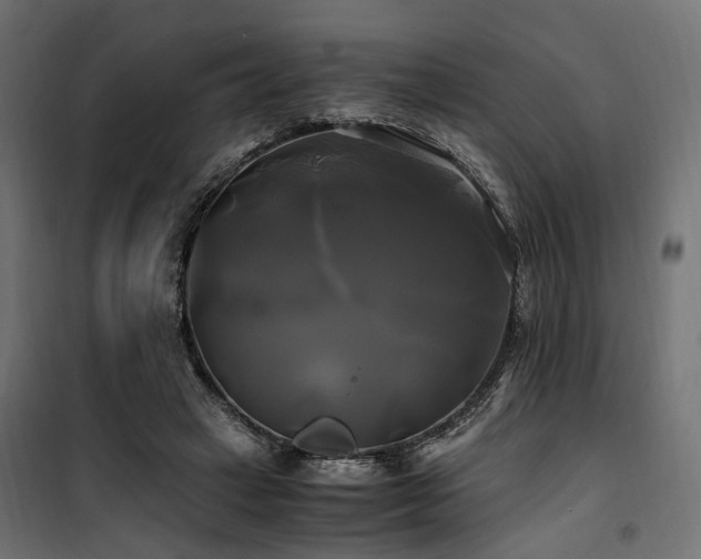 X0000100760449200806191211