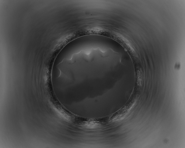 X0000100760451200806191211