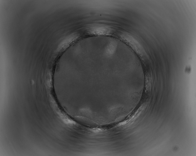 X0000100760453200806191211