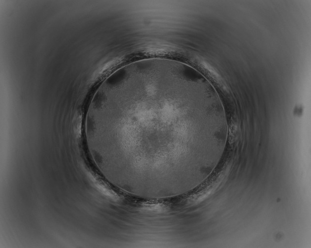 X0000100760454200806191211