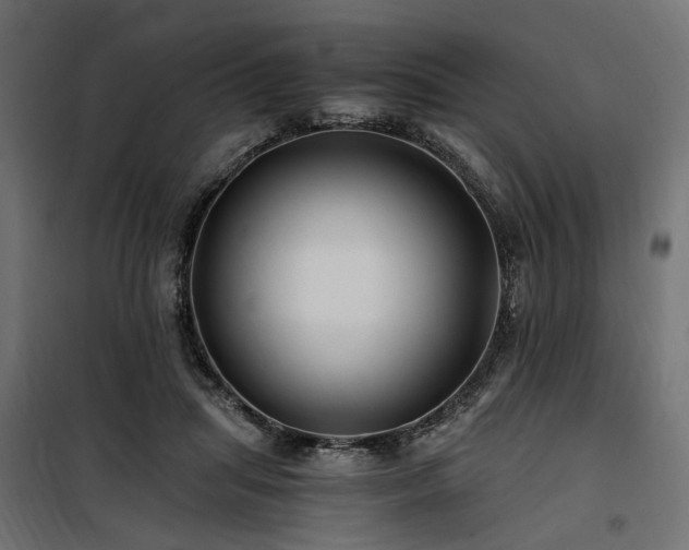 X0000100760455200806191211