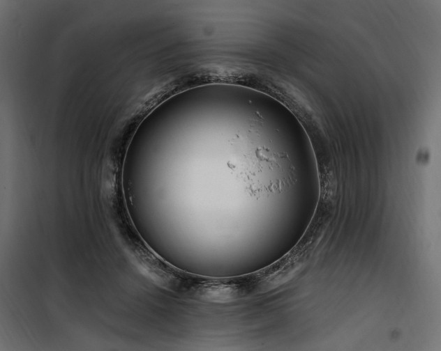 X0000100760456200806191211