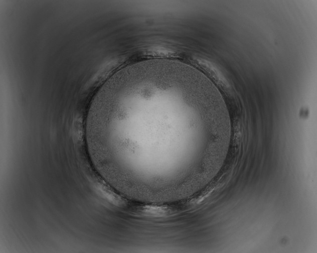 X0000100760457200806191211