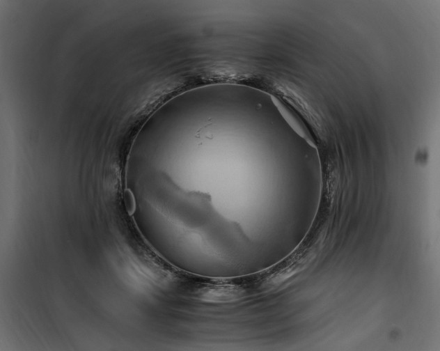 X0000100760459200806191211