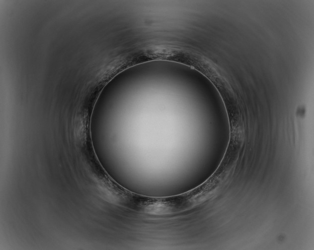 X0000100760460200806191211