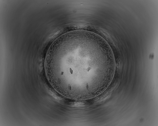 X0000100760462200806191211