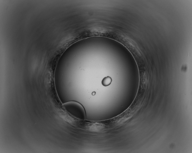 X0000100760463200806191211