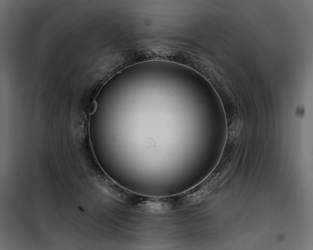 X0000100760464200806191211