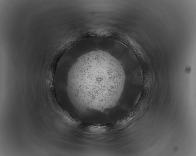 X0000100760465200806191211