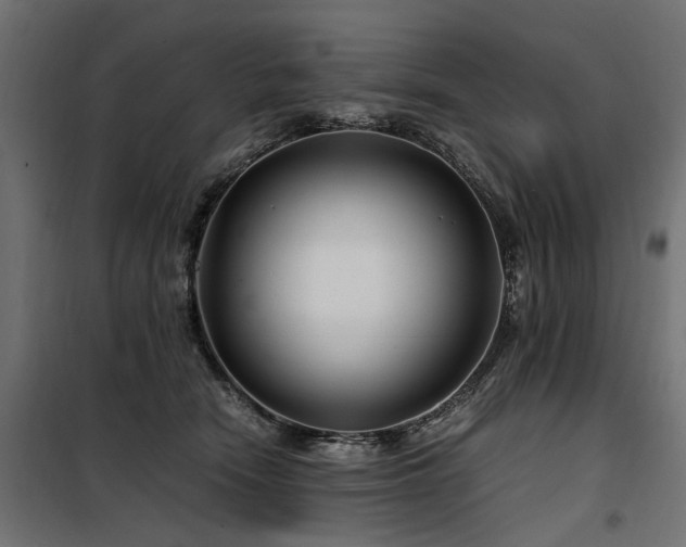 X0000100760466200806191211