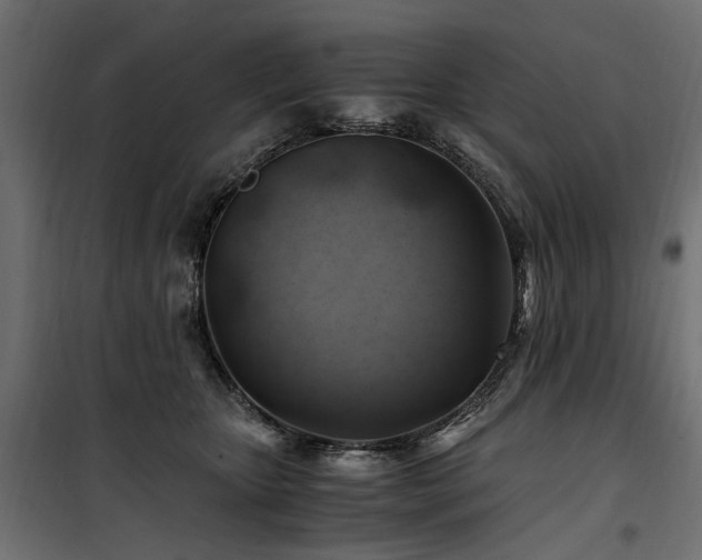 X0000100760467200806191211