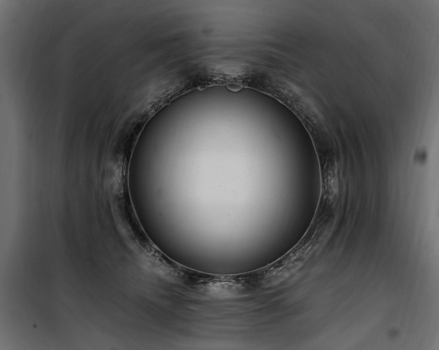 X0000100760468200806191211