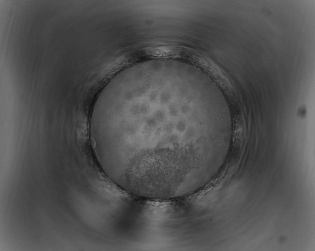 X0000100760469200806191211