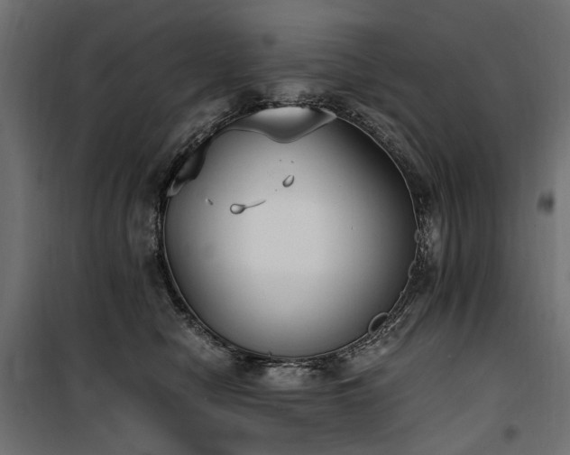 X0000100760470200806191211