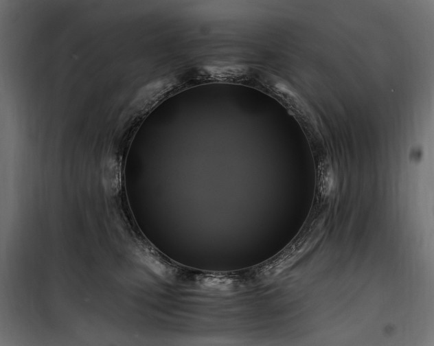 X0000100760471200806191211