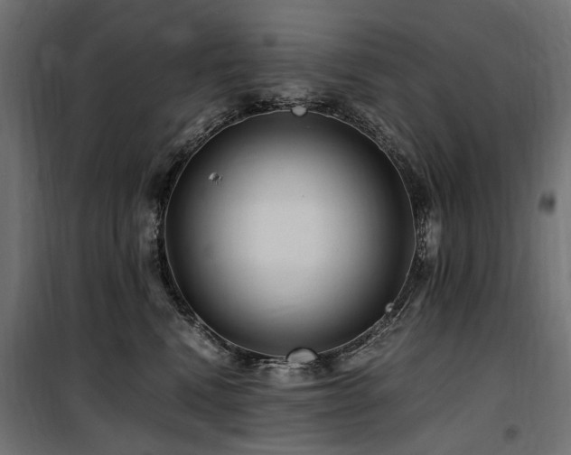 X0000100760472200806191211